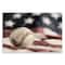 Stupell Industries Baseball & American Flag Wall Plaque Art